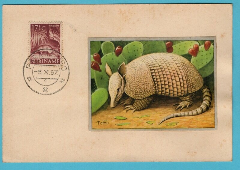 SURINAME maximum kaart Kapasie 1957