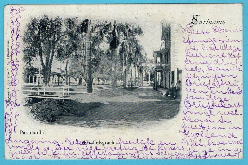 SURINAME prentbriefkaart 1907 Paramaribo naar Haarlem