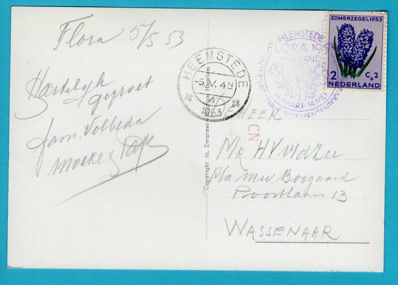 NEDERLAND prentbriefkaart 1953 Flora Heemstede