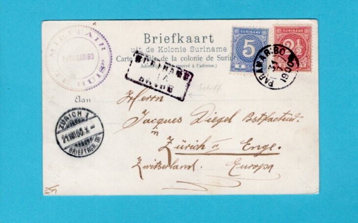 SURINAME Prentbriefkaart 1900 Paramaribo naar Zwitserland