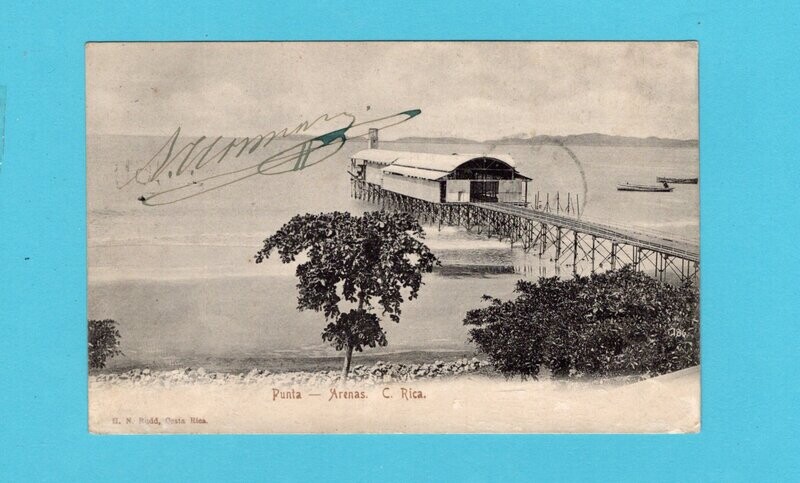 GUATEMALA Expres PPC Punta Arenas 1906 to Netherlands