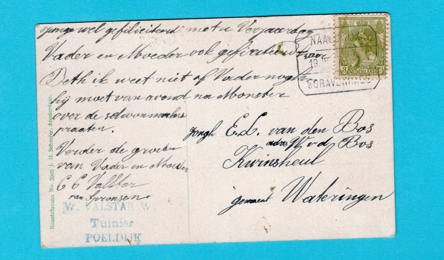 NEDERLAND briefkaart 1917 Poeldijk treinstempel Naaldwijk-den Haag