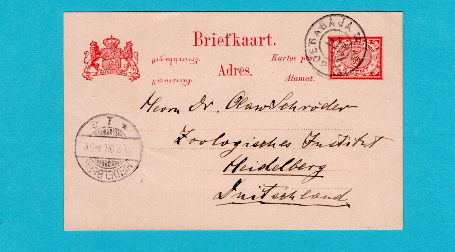 NETHERLANDS EAST INDIES change of address printed postal card 1908 Soerabaja