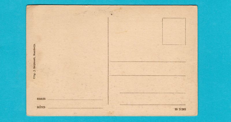 NEDERLAND prentbriefkaart Station Westlandsche Stoomtramweg Mij Naaldwijk