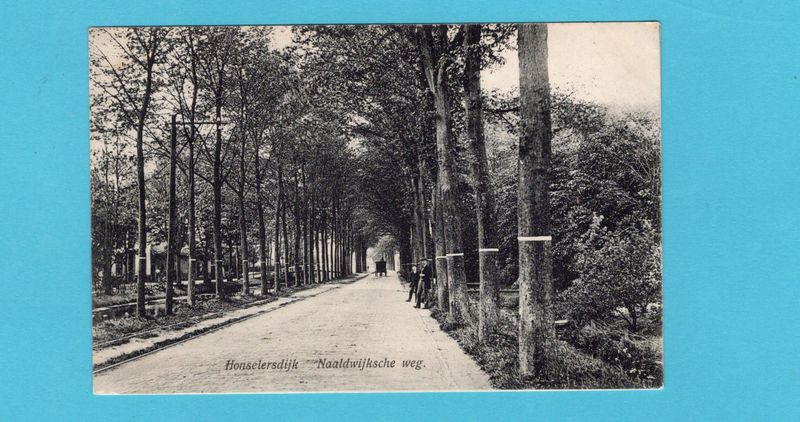 NEDERLAND prentbriefkaart Naaldwijksche weg 1907 Honselerdijk