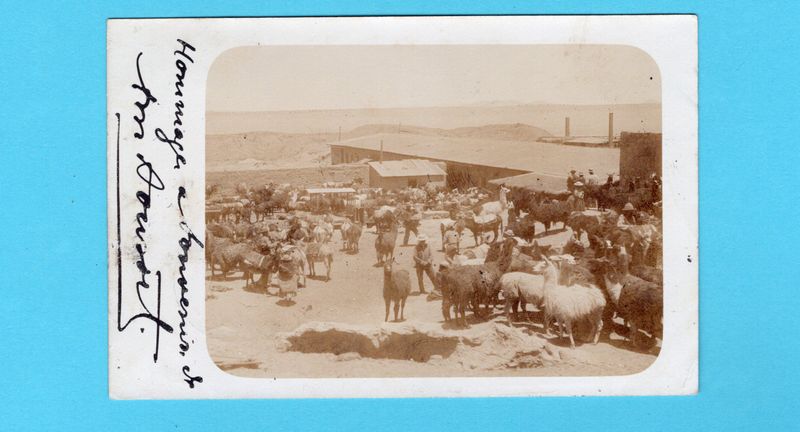 BOLIVIA photocard 1903 Oruro-Uyuni traincancel to France