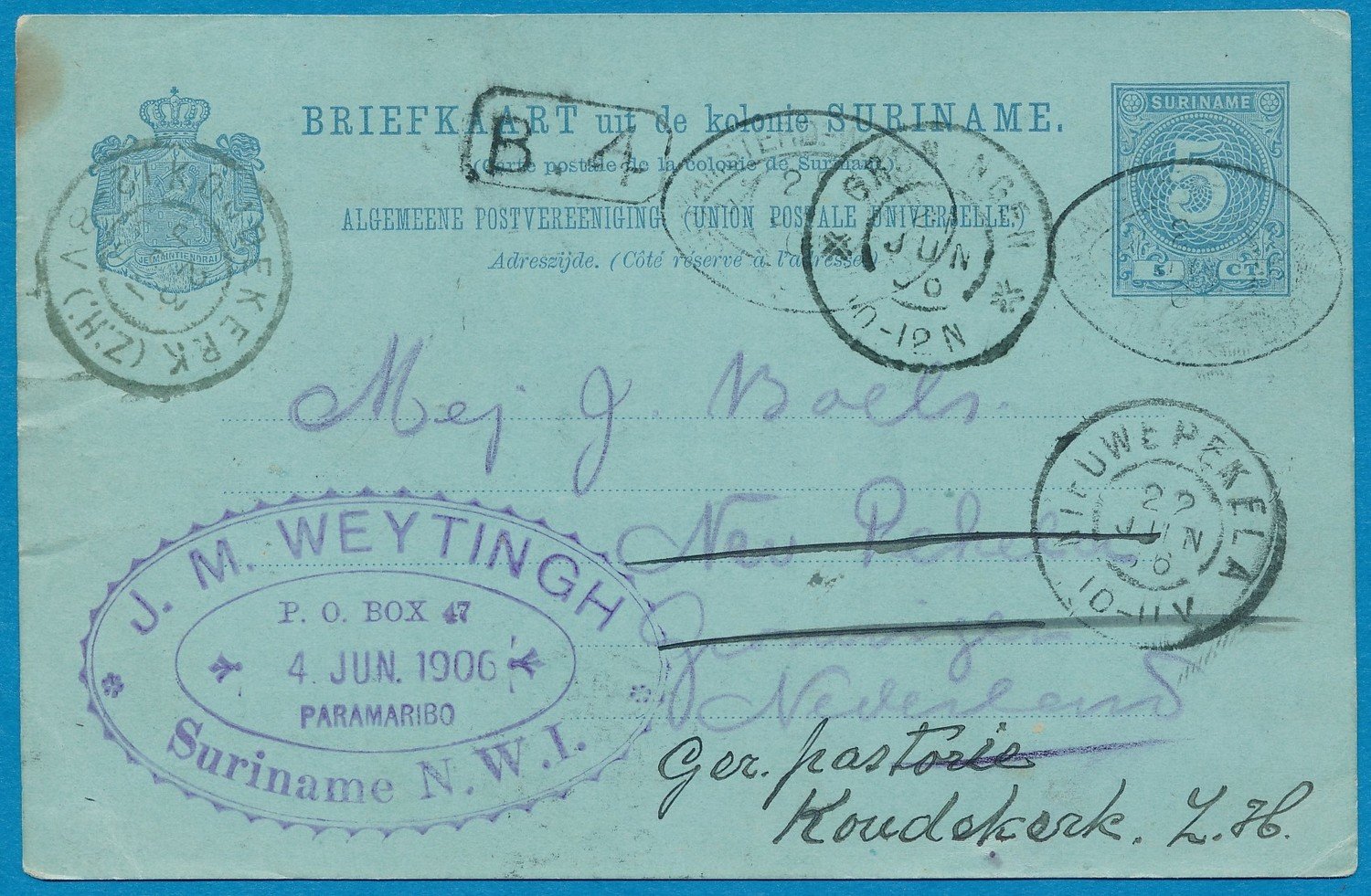 SURINAME briefkaart 1896 Paramaribo naar Nieuwe Pekela