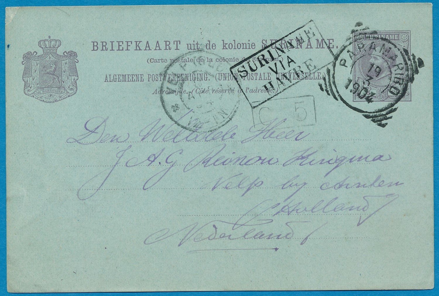 SURINAME briefkaart 1904 Paramaribo naar Velp