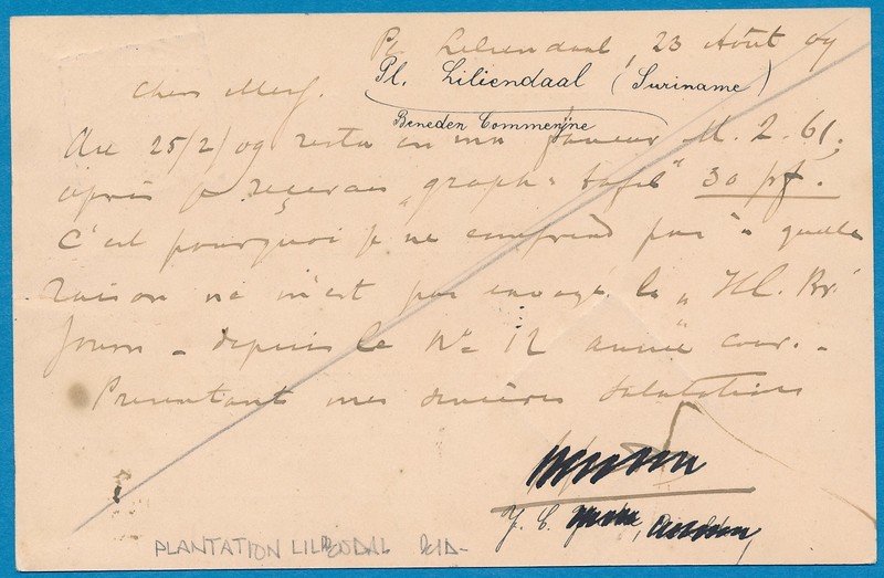 SURINAME briefkaart 1906 Ben:Commewijne plantage Leliëndaal