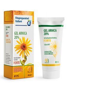 FPI GEL ARNICA 100ML