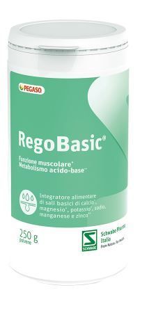 REGOBASIC POLVERE 250G