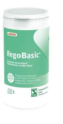 REGOBASIC POLVERE 250G