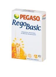 REGOBASIC 12BUST REGOBASIC 12BUST