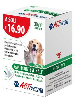 ACTIVE PET GASTROINTESTINALE