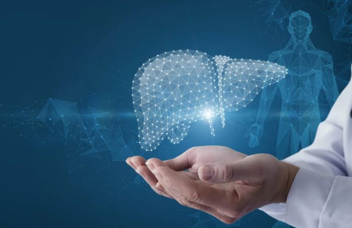 FEGATO E FUNZIONALITA' EPATICA