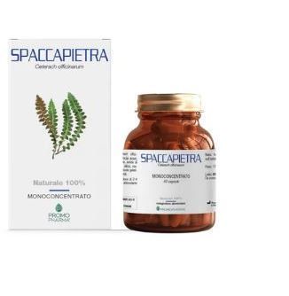 SPACCAPIETRA 50 CPS
