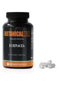 BOTANICAL MIX ECHINACEA