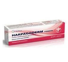 HARPAGODERM POMATA 50 ML HARPAGODERM POMATA 50 ML