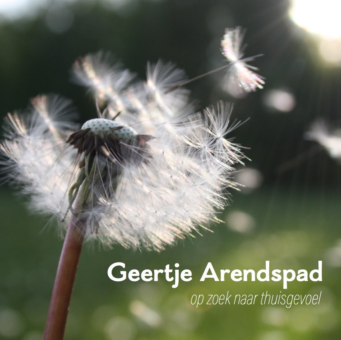 Geertje Arendspad (ePub)