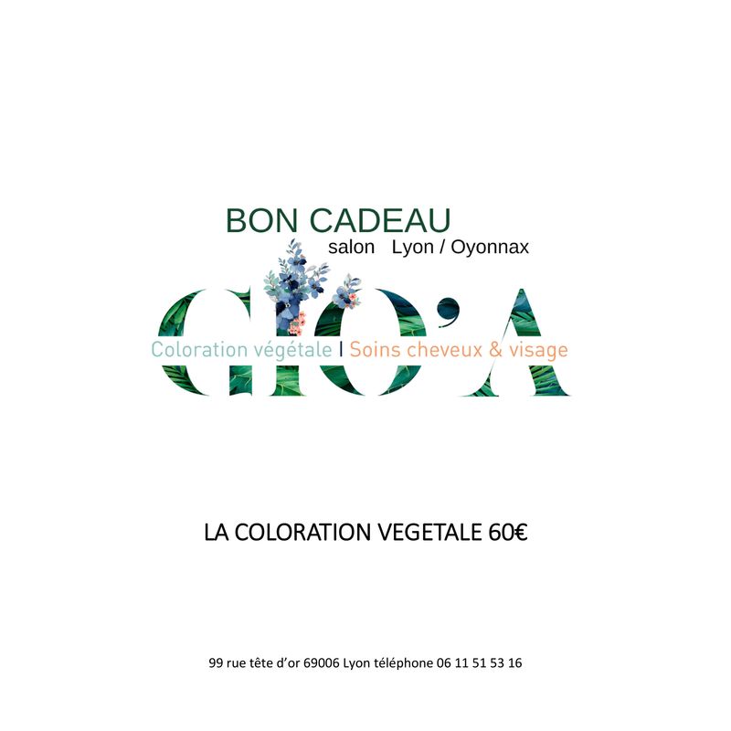 bon cadeau coloration végétale
