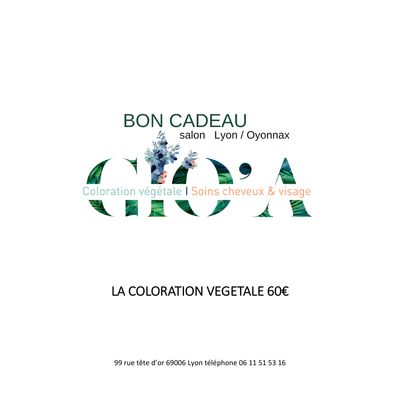 bon cadeau coloration végétale