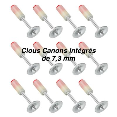 Clous Canon Intégré pour Pistolet à Clous Ronds de 7,3 mm.