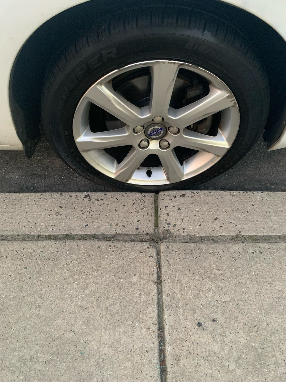 Brakes And Oil Change Pads Only Oil Only