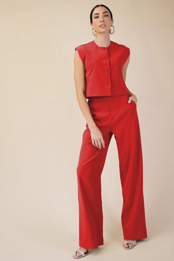 Whitney  pant suit
