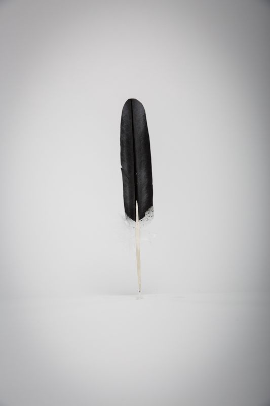 FEATHER EAGLE WING