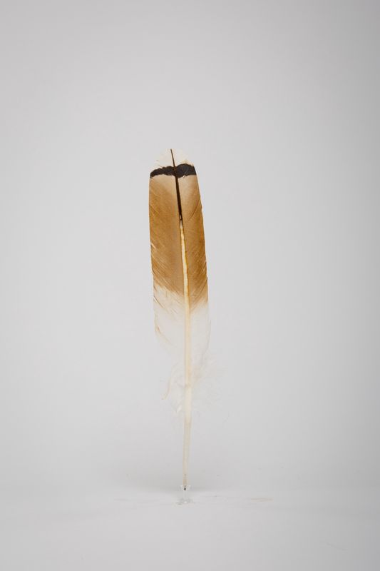 FEATHER RED TAIL MAT