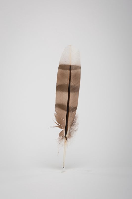 FEATHER COOPER