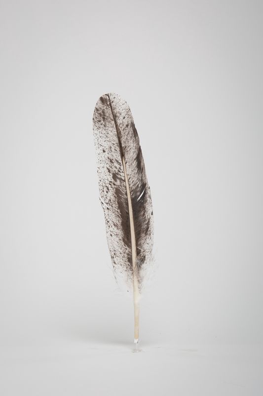 FEATHER SALT & PEPPER