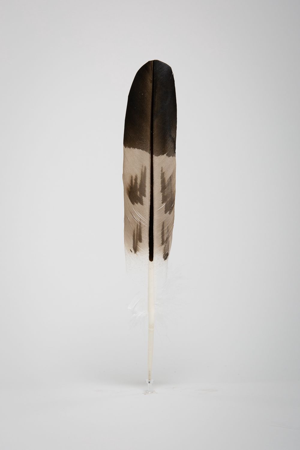 FEATHER SEMI MAT GOLD