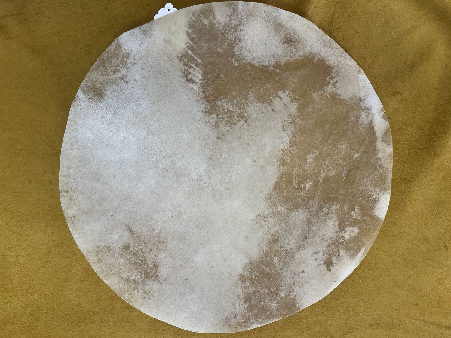 RAWHIDE GOAT DRUM HEADS