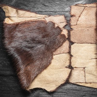 LEATHER & HIDES