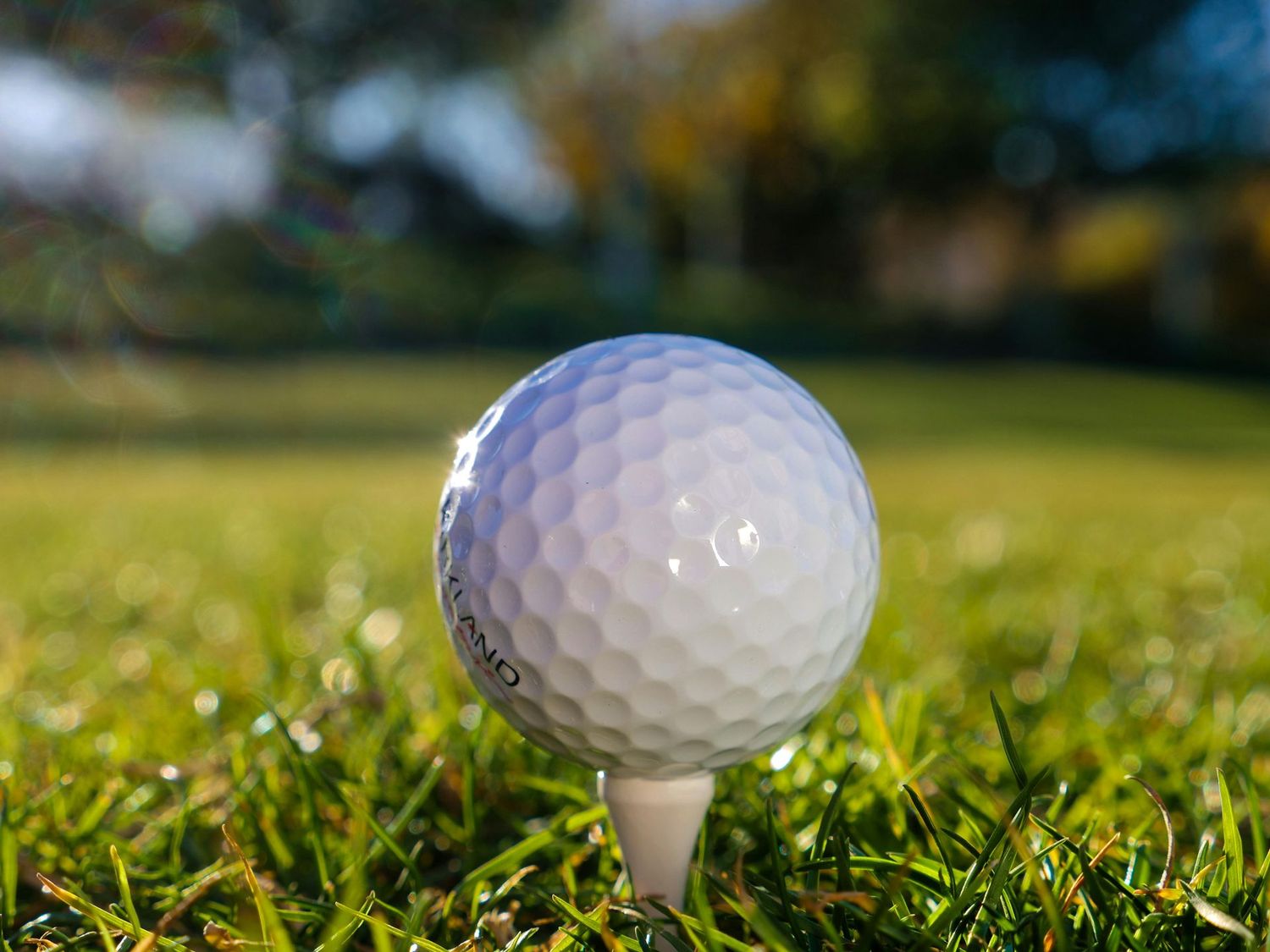 Golf to Give Rotary Golf tournament 1 Golfer