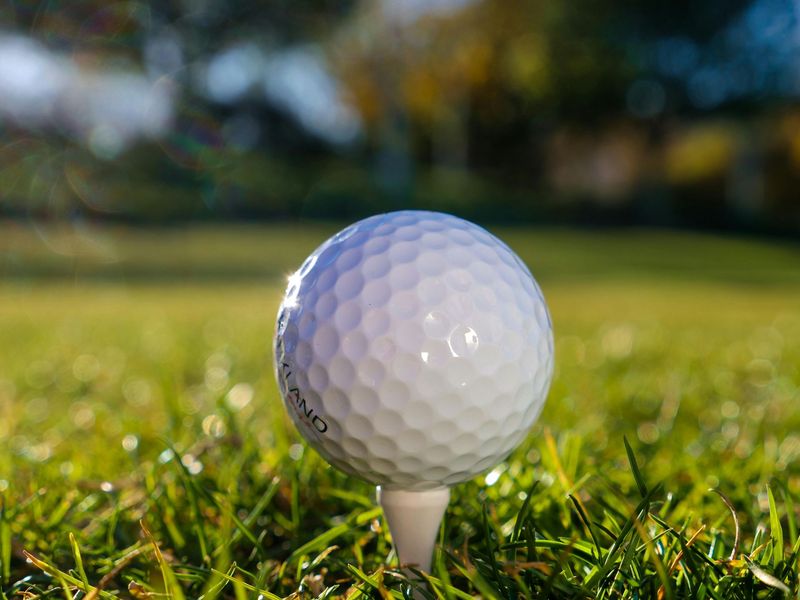 Golf to Give Rotary Golf tournament 1 Golfer