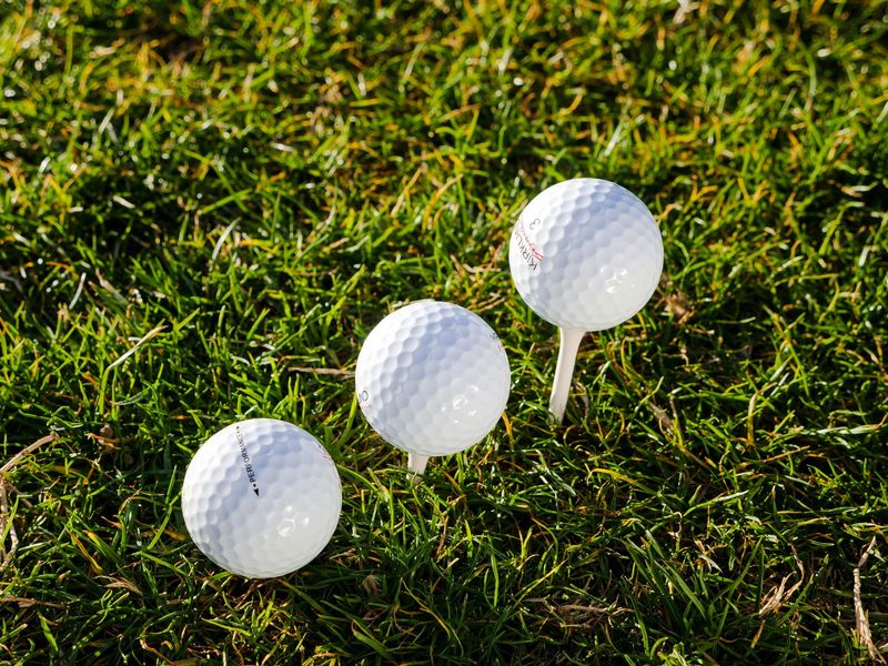 Golf to Give Rotary Golf tournament  3 Golfers