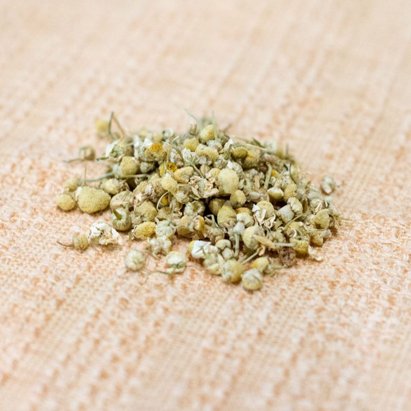 Chamomile