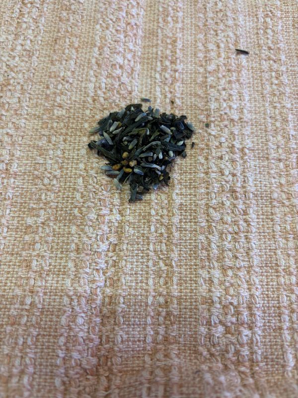 Stress Less(relaxation) Stress Less(relaxation)