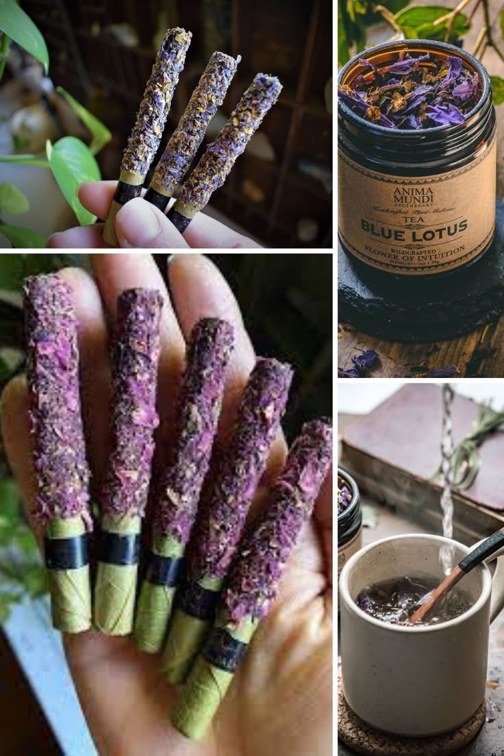 Level Up Signature Coated 2g-2ct Pre-Rolls-Blue Lotus