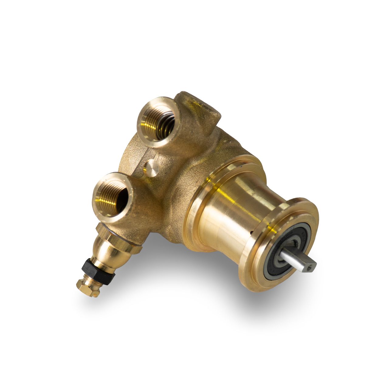 Fluid-o-tech Pump, Plane Rod Shaft, Clamp Connection,  200L/H- 3/8&quot; NPT