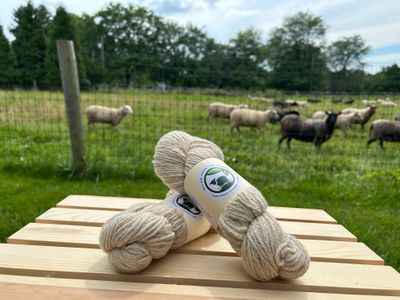 3 Ply Worsted "Oatmeal 2"