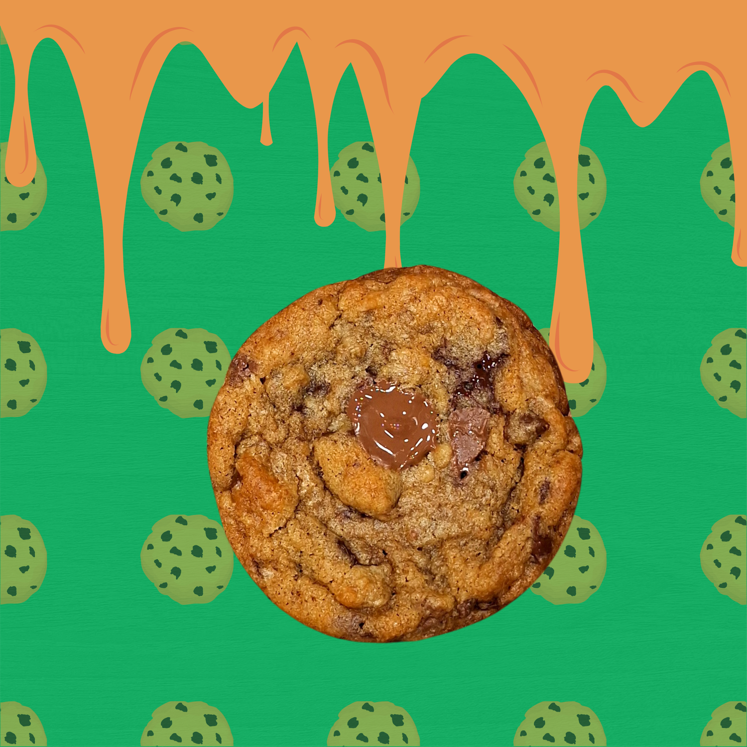 Chocolate Chip