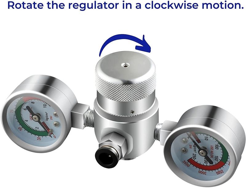 Lit Whip® Pressure Regulator-(1 UNIT)