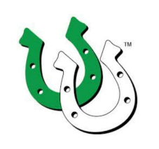 Double Horseshoes - 1 inch Lapel Pin w/ back butterfly clasp