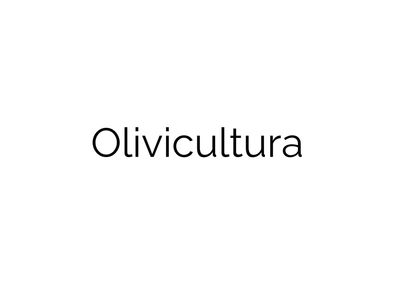 OLIVICULTURA