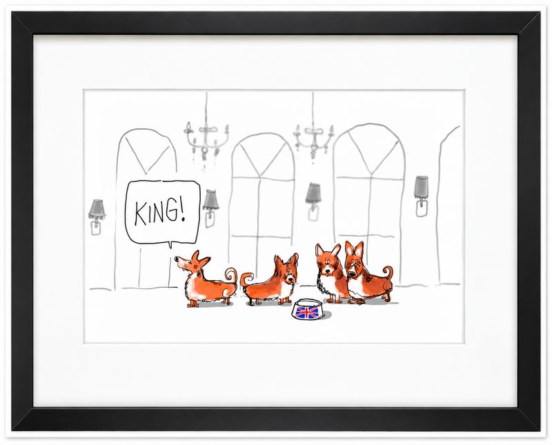Corgis