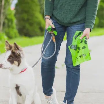 Eco friendly doggy bags