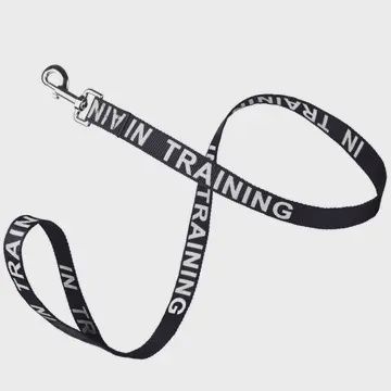 Reflective Nylon Leash L 24&quot; x W 1&quot;, Colour: Black